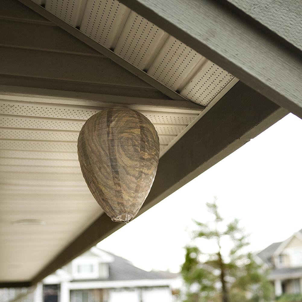 11x8.7 inch Eco Friendly Hangi - огляд і ціна Outdoor Lighting Quotes