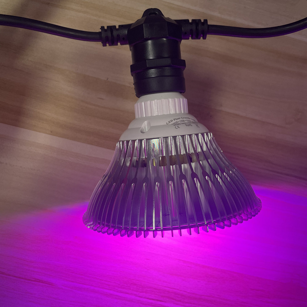 10M Cable LED String Commercia - огляд і ціна Outdoor Lighting Permanent