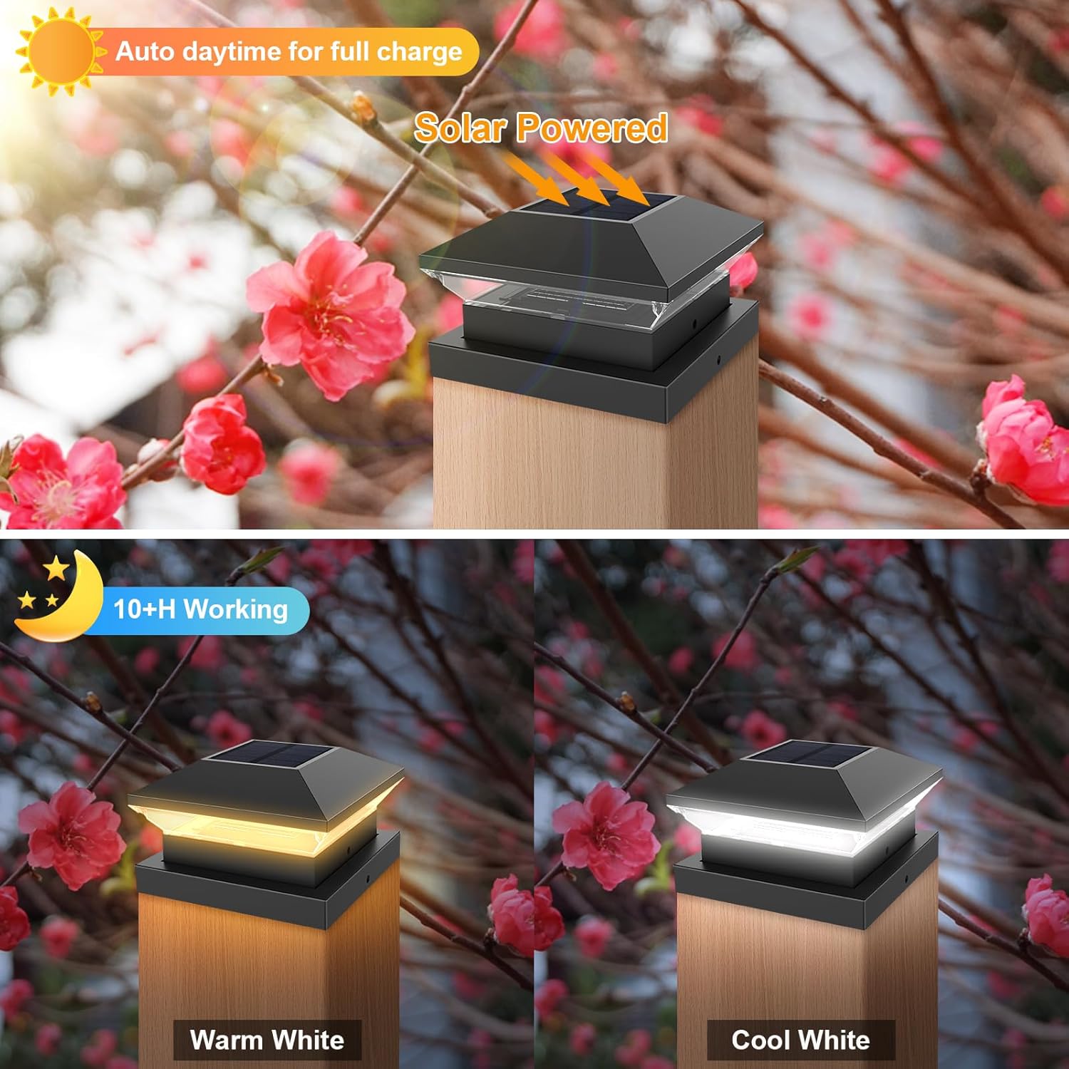 Solar Post Light Post Caps Sol - огляд і ціна Post Cap Light